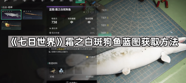 七日世界白斑狗鱼