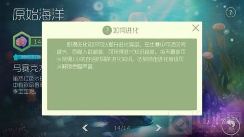 球球大作战打完一局为什么没有获得进化经验