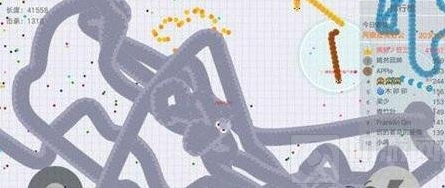 贪吃蛇大作战预留发育空间战术 空间重要性解析