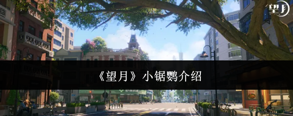 《望月》小锯鹦介绍