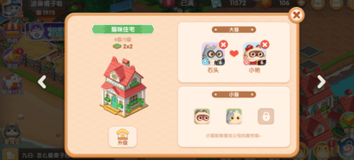 遇见小猫