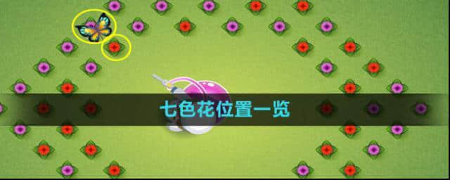 奥比岛七色花
