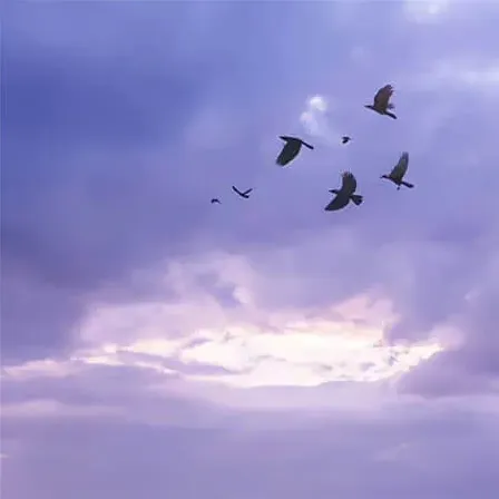 骸怒