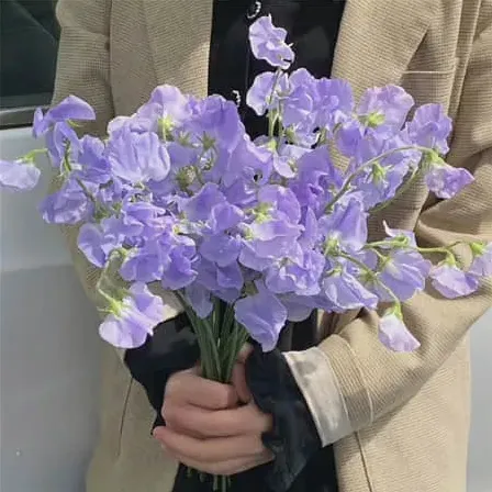 取微信名