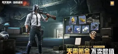 和平精英地图