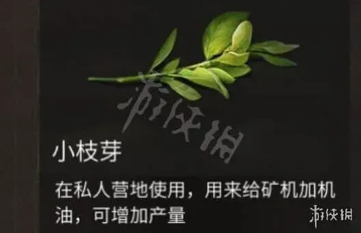 明日之后枝芽