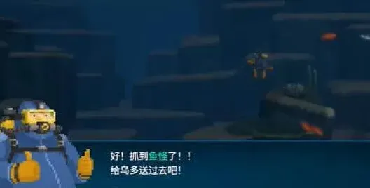 一路水母