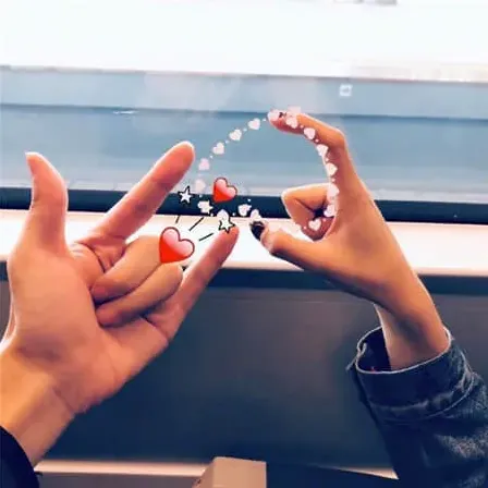 陈皮