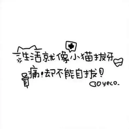 刘小