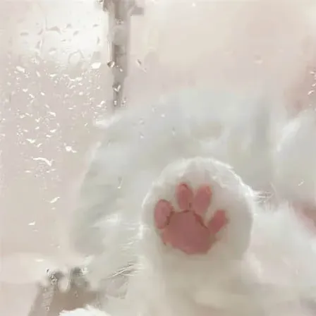 家有