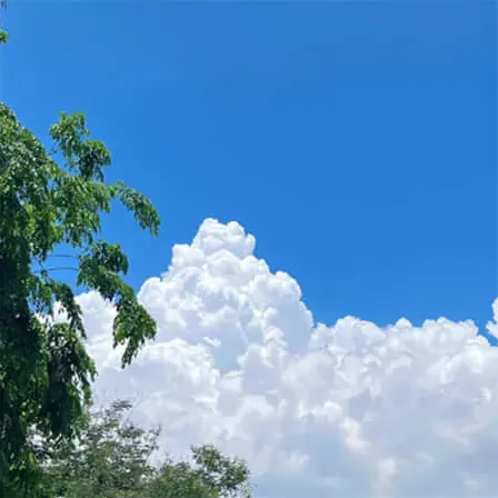 蒋姓