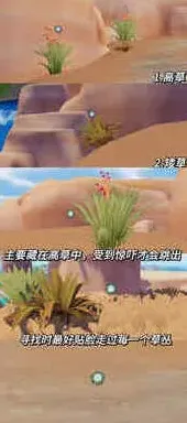 心动小镇小镇