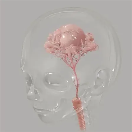 芝士