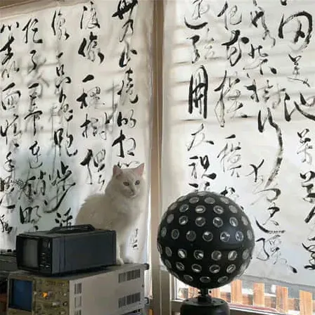芝士