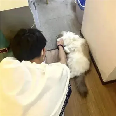 行者