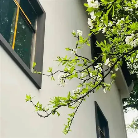 催更