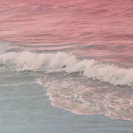 橙装