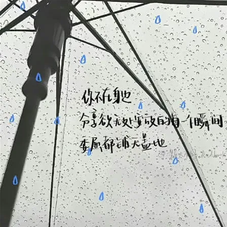 纚纚