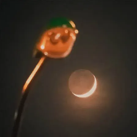 脆脆鲨
