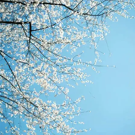 同学群名