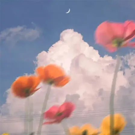 四字