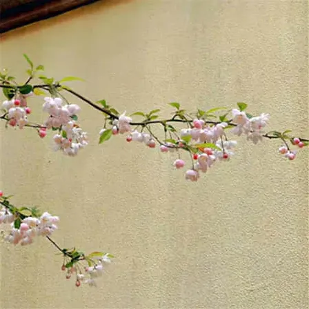 个字