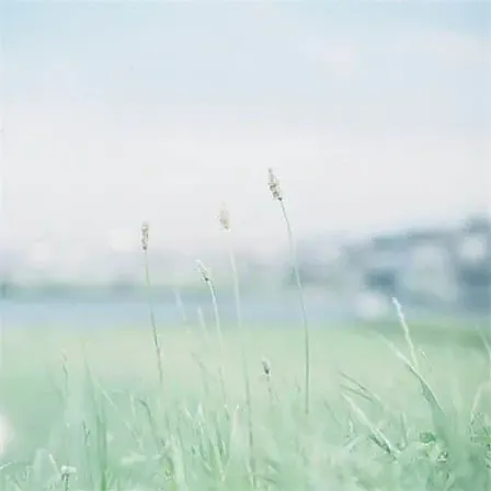 钓遍