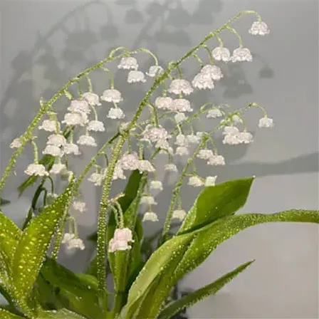 雪花