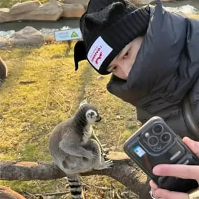 孤影