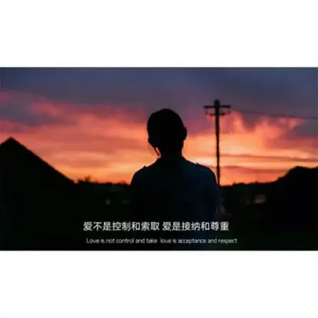 宋栖
