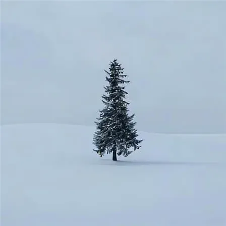 诗画