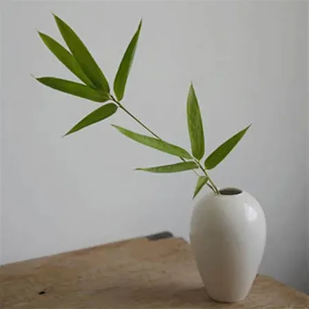 闺蜜