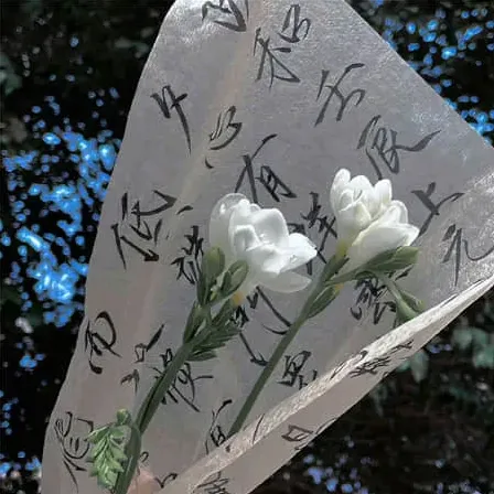 蘑菇