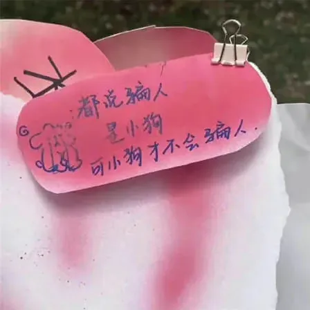 起微信名