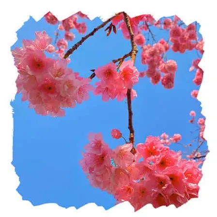 余生