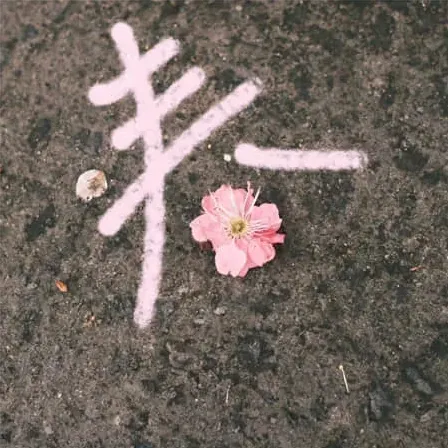 牛油