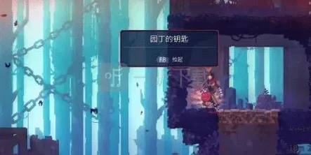 庇护所园丁