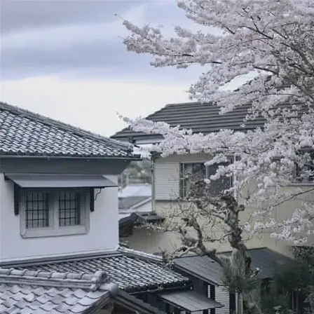 幽默网名