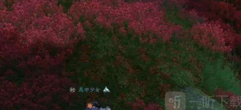 逆水寒攻略