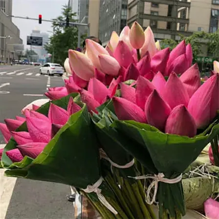 光芒