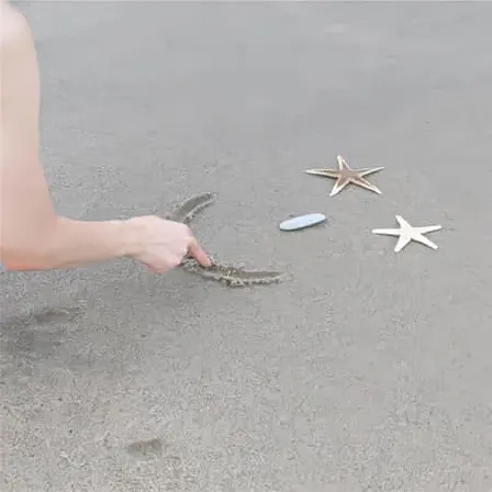 香香