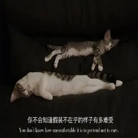 梦墟