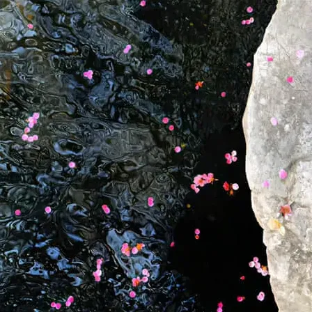 游戏