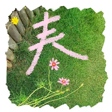 申活