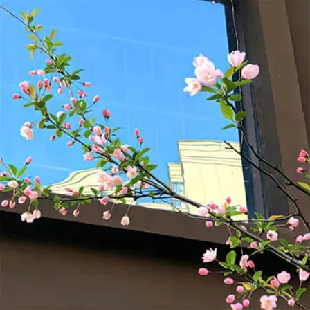 林间