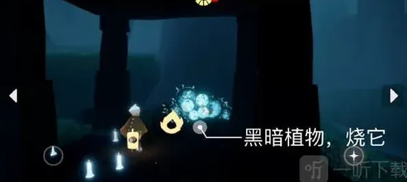 光遇是什么