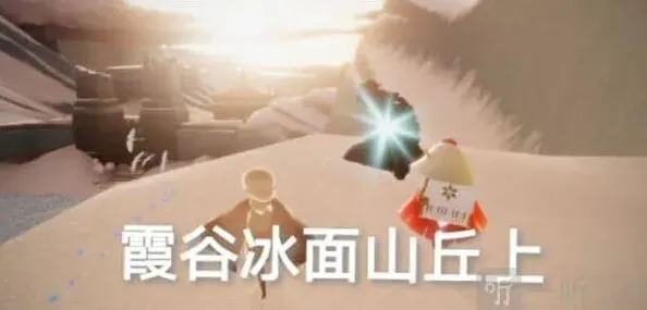 光遇分享