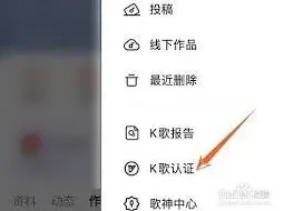 全民K歌认证书