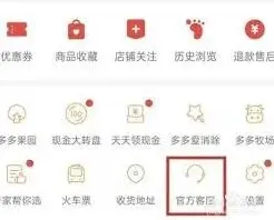 拼多多介入