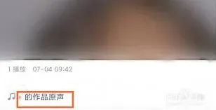 快手作品